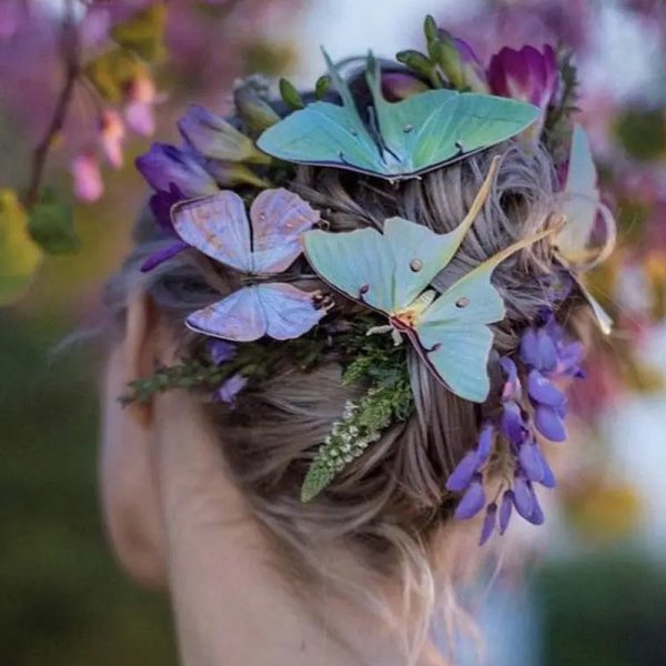 Spring  Luna Moth Set Cheap - Image 2